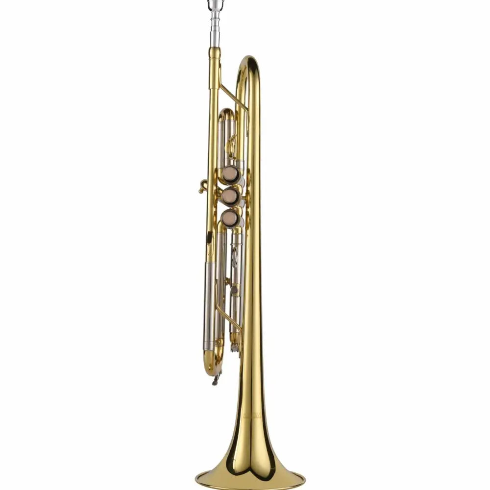 Shiny gold and silver school band trumpet with three finger buttons, perfect beginner trumpet outfit