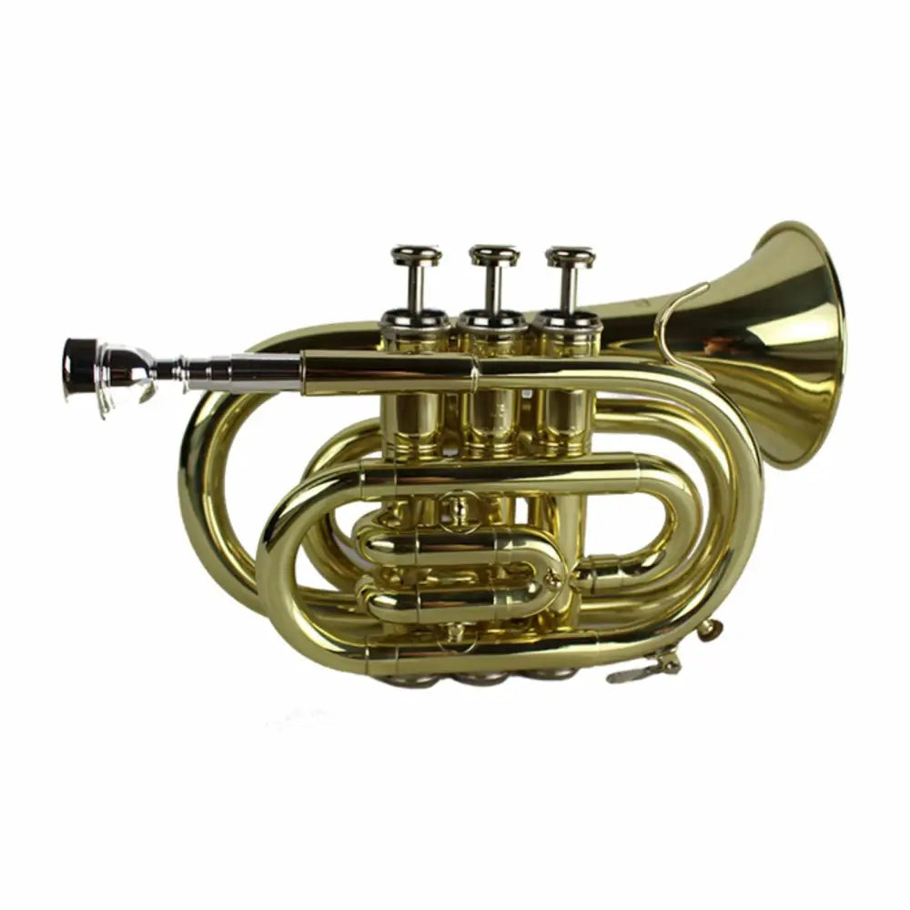Shiny gold pocket trumpet outfit with 3 valves, perfect budget pocket trumpet for sale Australia