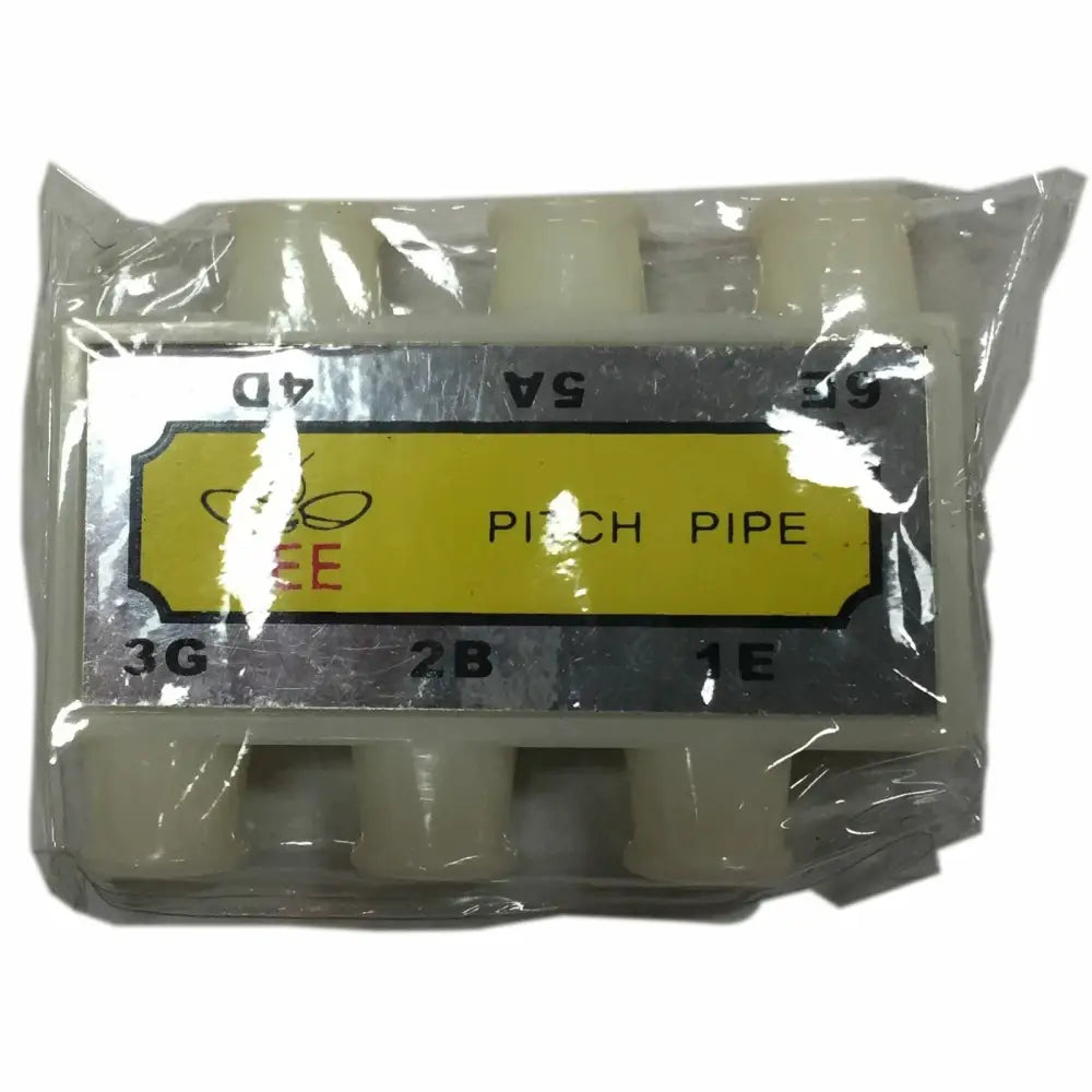 Packaged plastic pitch pipe with tones for beginner steel string guitar in Australia