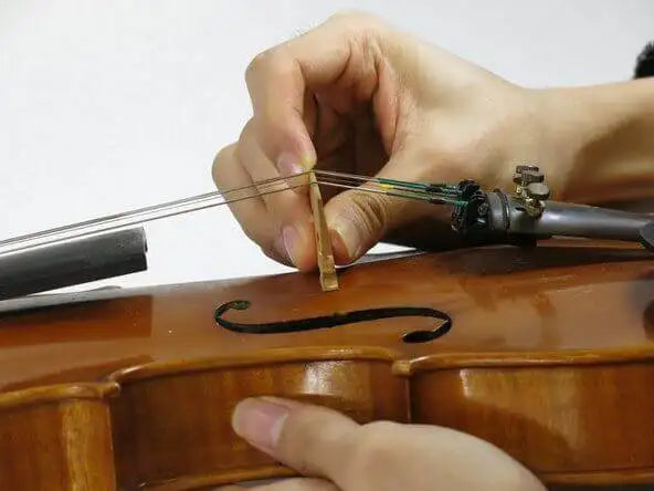 A person adjusts the bridge of a violin, positioning it between the strings and the violin’s body.