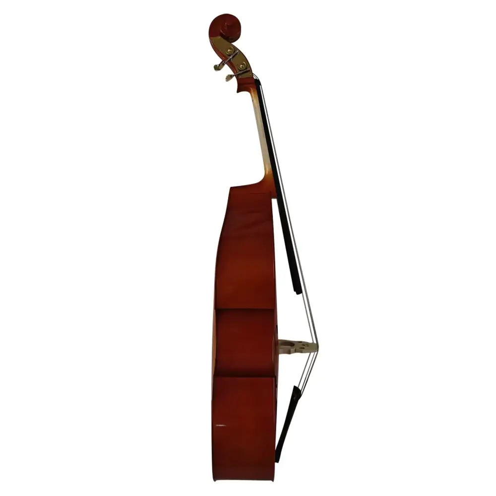 A polished mahogany colored wooden cello with glossy finish and gold hardware from prelude student double bass 3/4 size