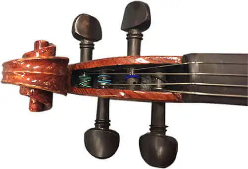 Close-up view of the scroll and tuning pegs of a string instrument, likely a violin, showing four strings wound around the pegs.