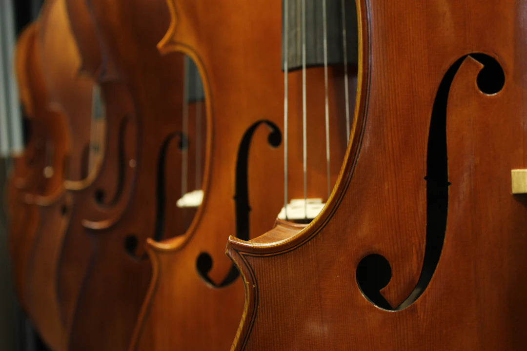 Versatile Student Violins for Young Musicians of All Sizes