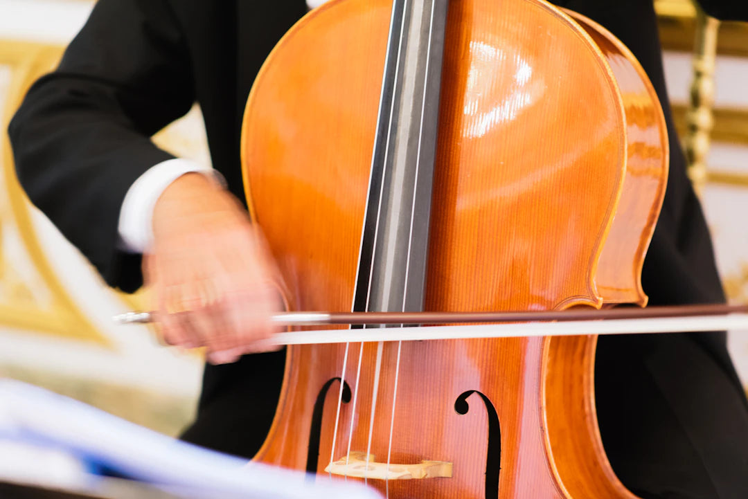 Full-Size and Compact Cellos for Aspiring Musicians