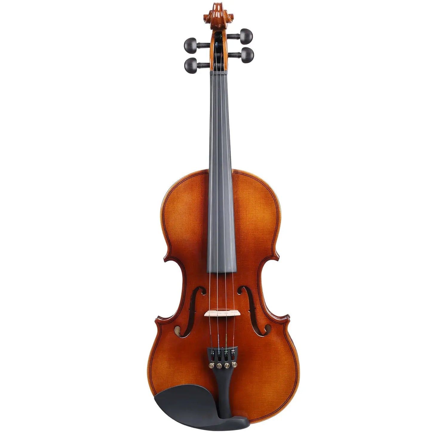 beginner violin