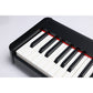 Axiom Sonata 88 Key Digital Piano