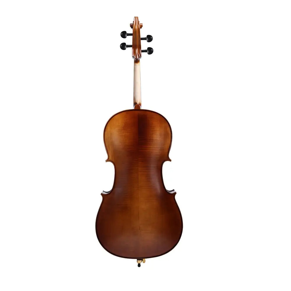 Back of Axiom Concerto Series Cello showing rich brown wood finish, perfect student cello for sale Australia