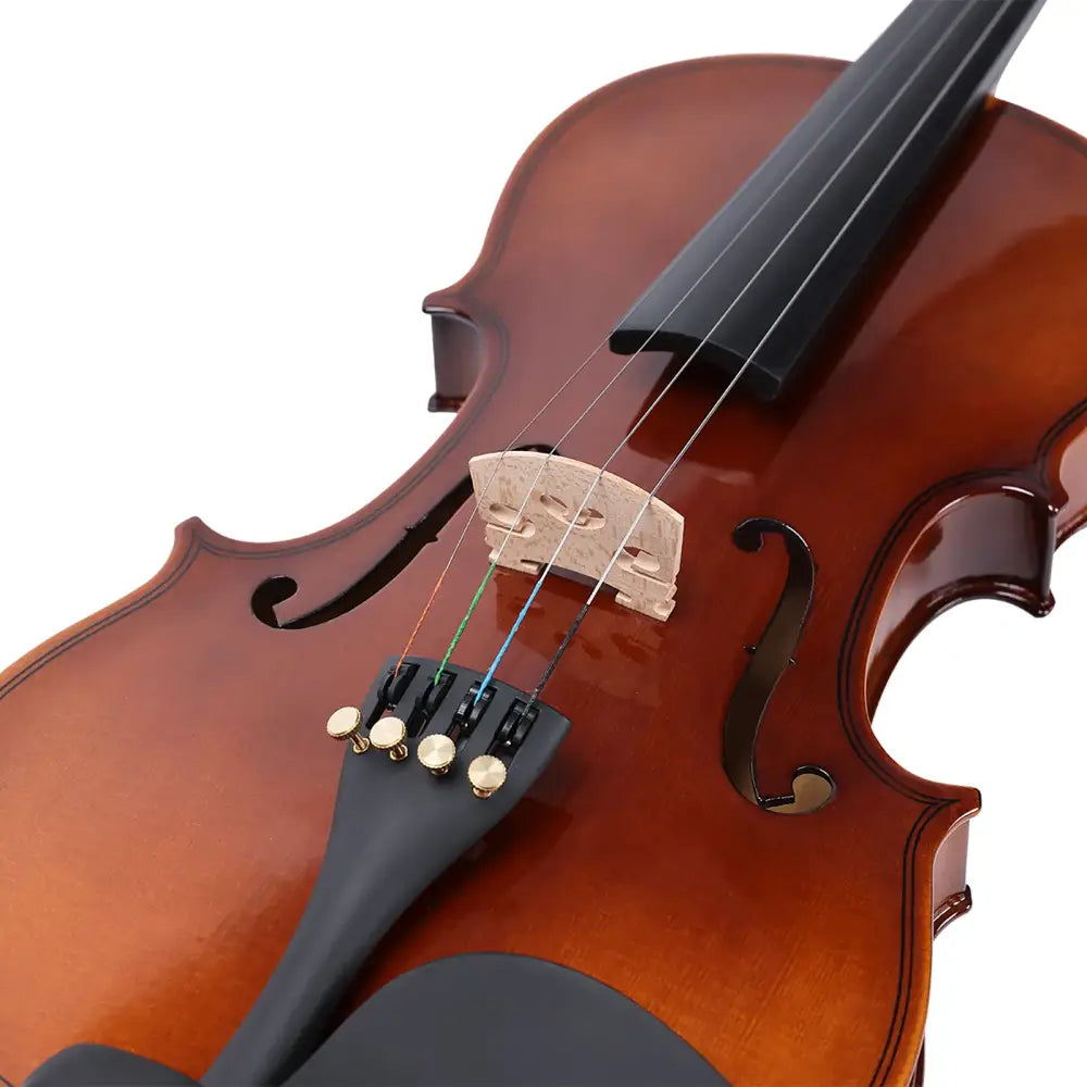 Axiom left handed full size violin outfit with polished rich brown wood and glossy finish and black fingerboard
