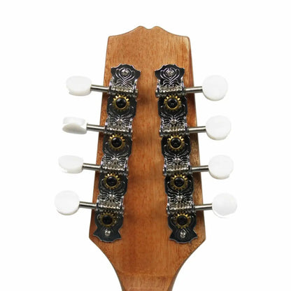 Back of Axiom Mandolin headstock with 8 white tuning pegs, perfect for mandolin for sale Australia