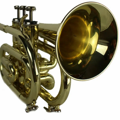 Shiny brass pocket trumpet from the Axiom Pocket Trumpet Outfit, great budget priced pocket trumpet for sale Australia