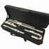 Silver-colored curved head flute disassembled in black case, perfect flute for young players