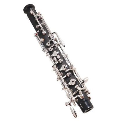 Black wooden clarinet with silver metal keys from the axiom prelude oboe outfit shown from the back side