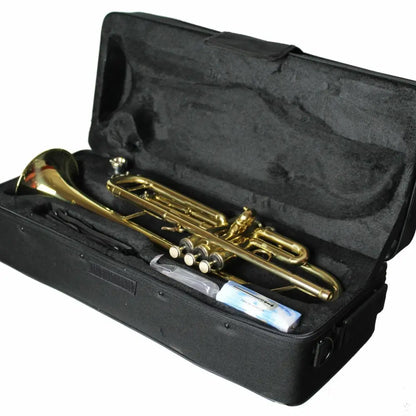 Axiom Prelude Trumpet outfit with brass trumpet and accessories in a black fitted case