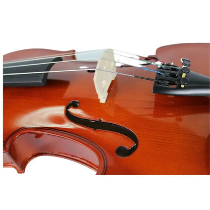 Close-up of Axiom Prelude Violin’s bridge, f-holes, and strings, perfect 1/2 size violin for sale