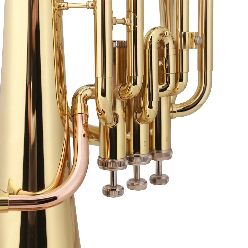 Shiny gold brass axiom student baritone horn bb with polished valves and silver tuning slides visible from the back side