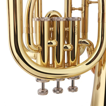 Golden brass valve section of axiom student baritone horn bb 3 valve with polished metallic valves and tubing