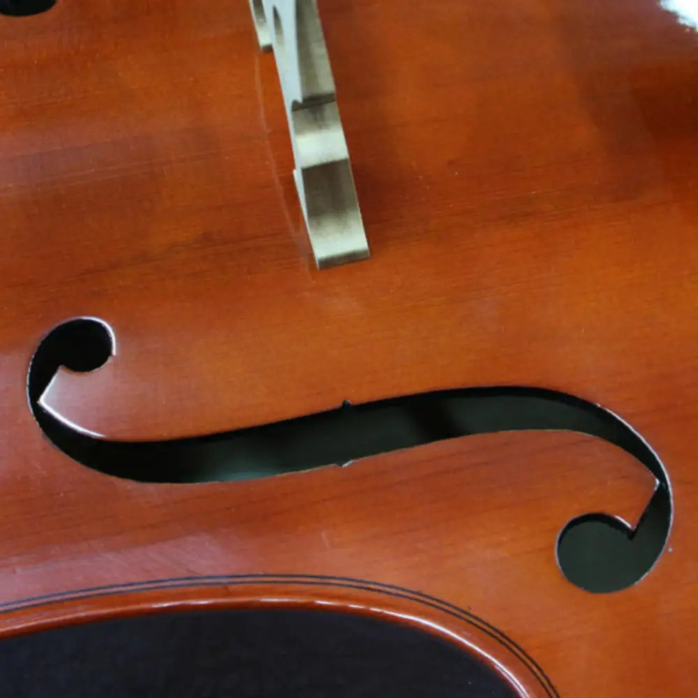 Close-up of a cello’s f-hole and bridge on a glossy reddish-brown body, perfect for buy full sized cello Australia