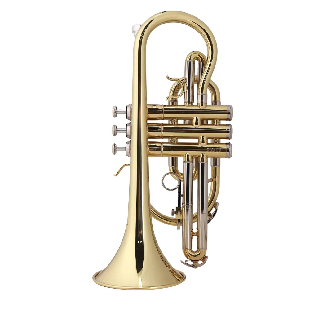 Shiny gold brass axiom student cornet with three valves and curved bell shown with premium case