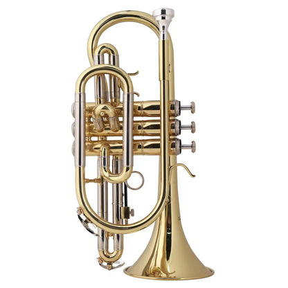 Shiny gold-plated brass axiom student cornet with silver valves and premium case perfect for beginners