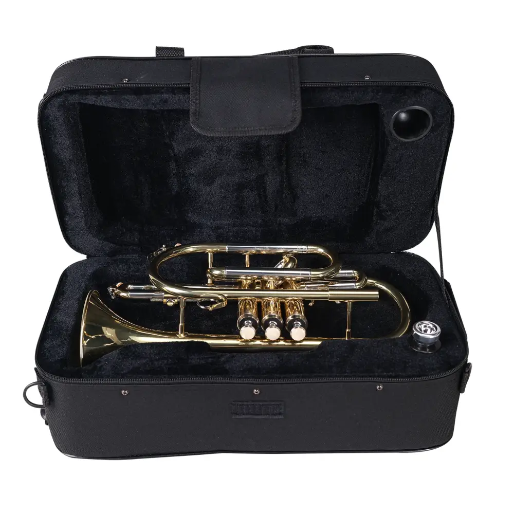 A gold-plated brass axiom student cornet nestled in a black padded premium case perfect for students