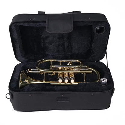 A gold-plated brass axiom student cornet nestled in a black padded premium case perfect for students
