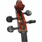 Axiom Student Cello Outfit - 3/4 Sized - Ideal for School