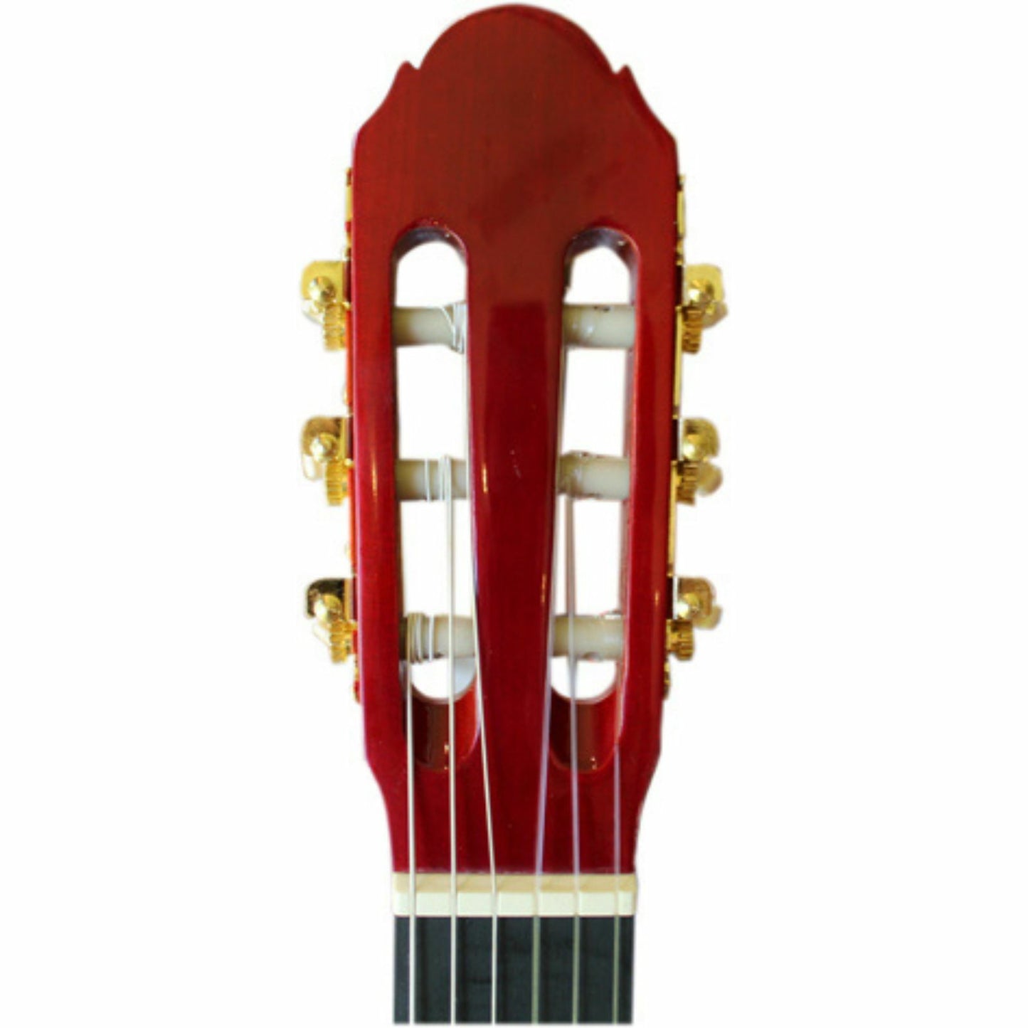 Axiom Beginners Guitar Pack - Full Size Red