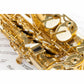 Axiom Concerto Series Alto Saxophone