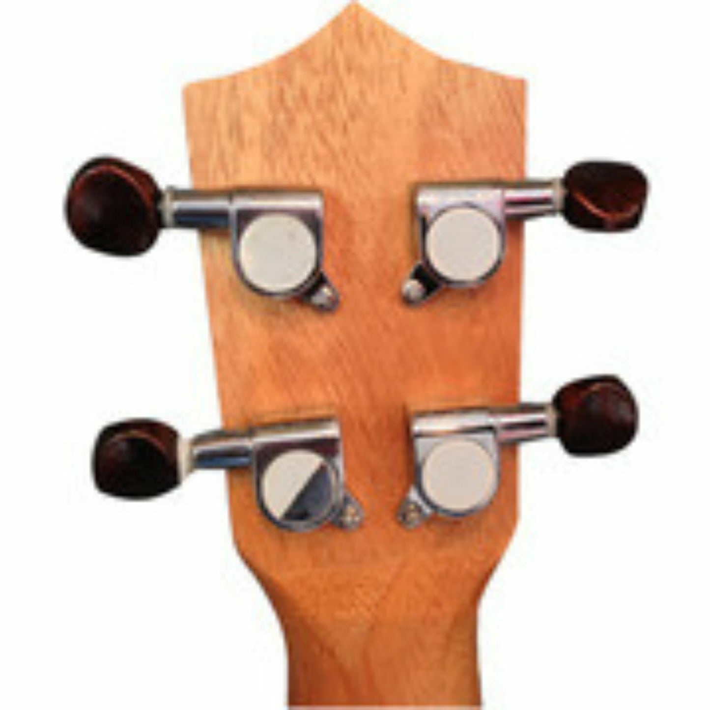 Axiom Kolohe Concert Ukulele