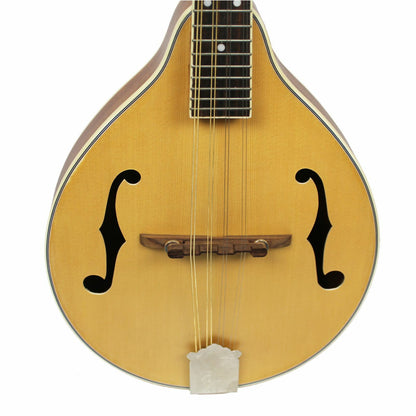 The Axiom Mandolin - A Style by Axiom Music features 8 strings, a light wood body, dark neck, eight tuning pegs, and two f-shaped sound holes. Photographed on a white background. Ideal for producing a bright tone.