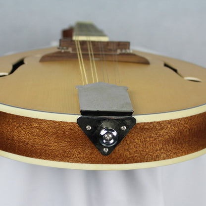 The Axiom Mandolin - A Style by Axiom Music features 8 strings, a light wood body, dark neck, eight tuning pegs, and two f-shaped sound holes. Photographed on a white background. Ideal for producing a bright tone.