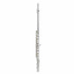 Axiom Prelude Flute Outfit - School Flute