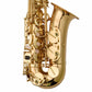 Axiom Complete Beginner Saxophone Outfit