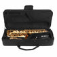 Axiom Prelude Alto Sax Outfit - Ideal School Band Saxophone