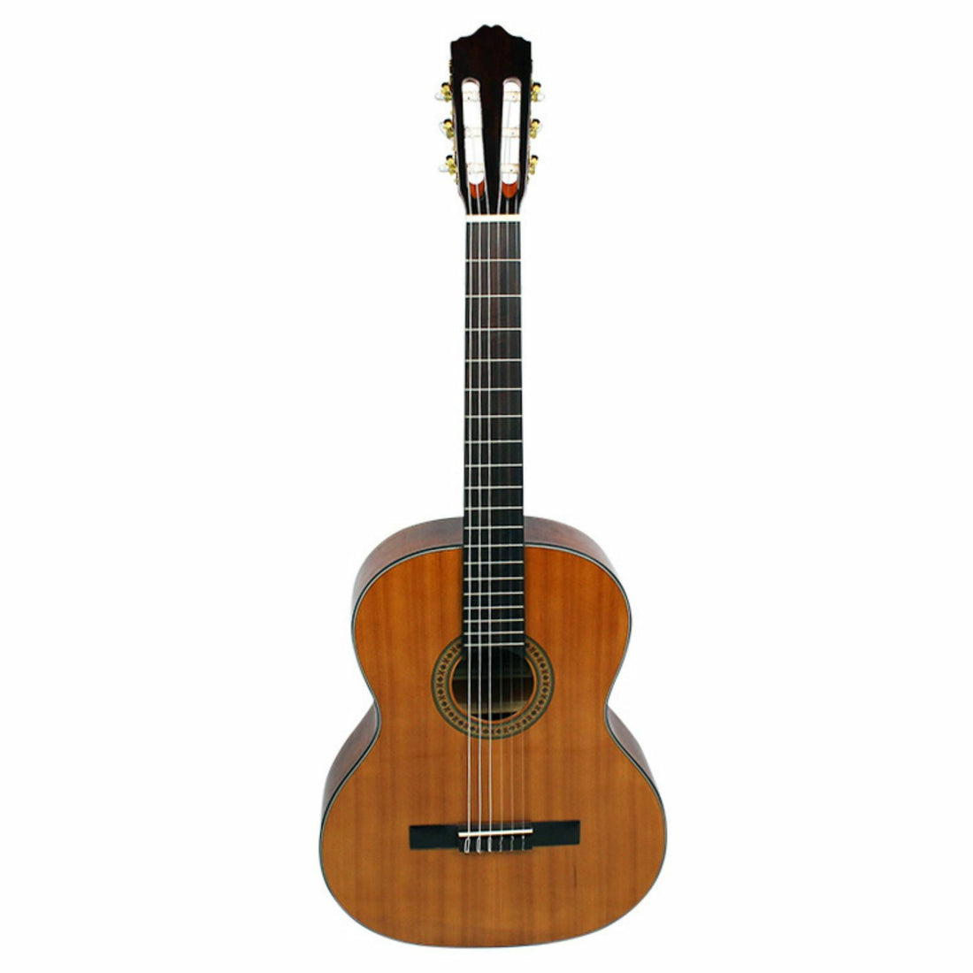 The Axiom Music Axiom Segovia Classical Guitar features a wooden body, dark fretboard, gold tuning pegs, and six Savarez 500CL nylon strings.