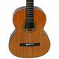 Axiom Segovia Classical Guitar