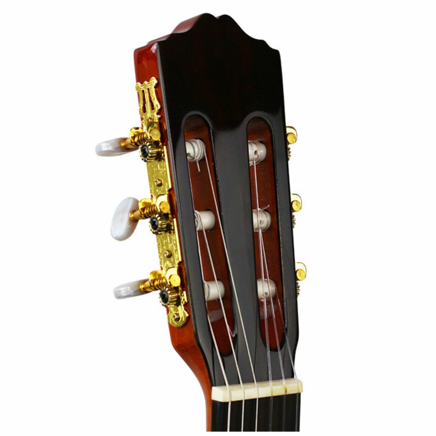Axiom Segovia Classical Guitar