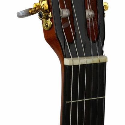 The Axiom Music Axiom Segovia Classical Guitar features a wooden body, dark fretboard, gold tuning pegs, and six Savarez 500CL nylon strings.