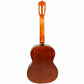 Axiom Segovia Classical Guitar